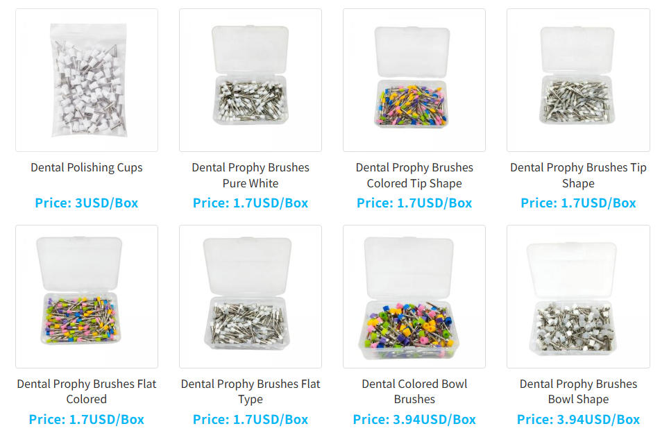 Prophy Brush Dental Use: Ultimate Guide for Professionals & Clinics | Shenzhen SinaDent